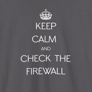 Check the firewall T-shirt | Unisex